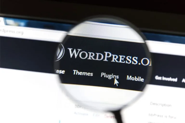 Использование плагинов WordPress при создании сайта