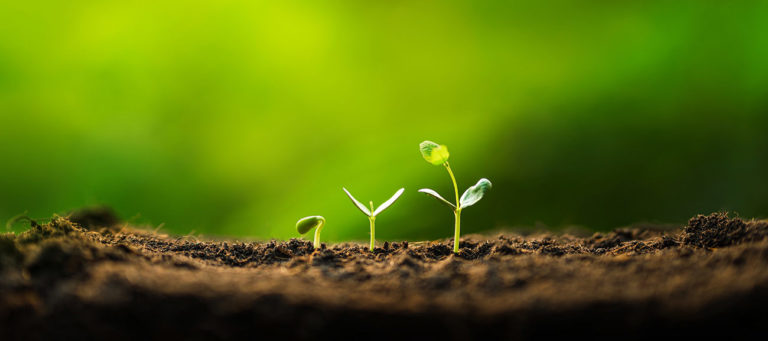 When Is a Good Time to Invest in Growing Your Website?