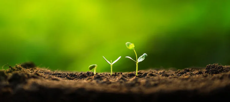 When Is a Good Time to Invest in Growing Your Website?