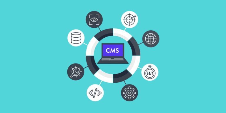 Best CMS for Startups