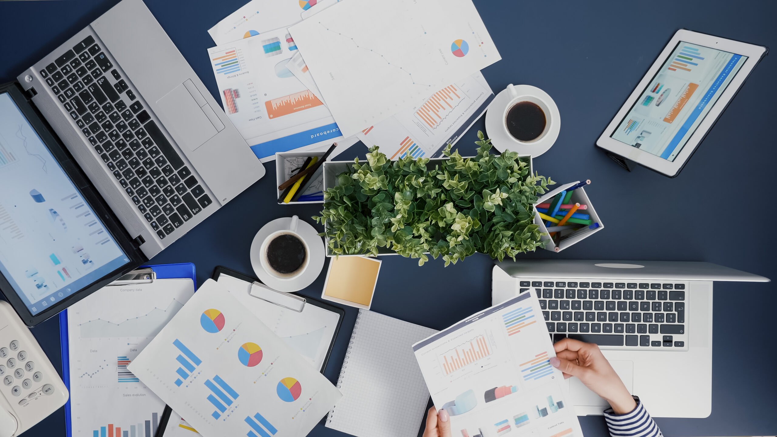 Digital Marketing Agency