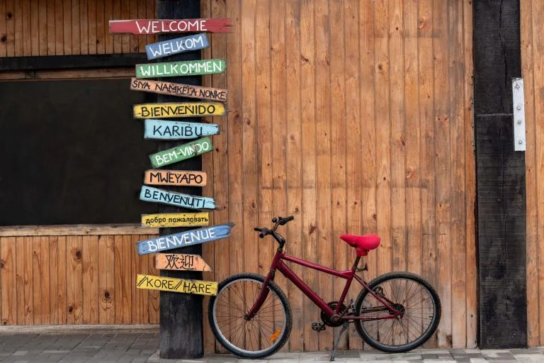 Redirecționarea utilizatorilor către traduceri pe baza geolocalizării