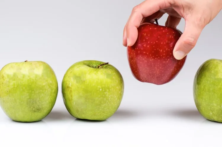 Marketing Agencies vs. Freelancers: Who Should You Hire for Digital Marketing Services?