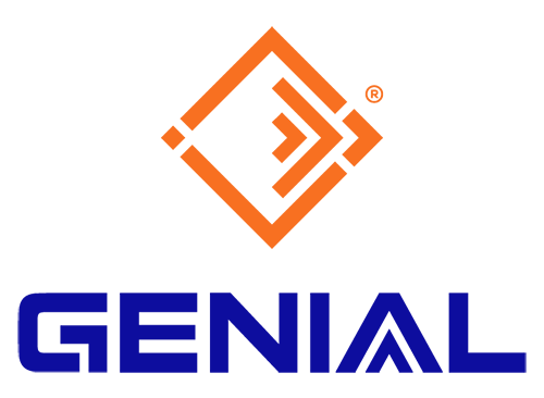 genial moldova custom logo and full branding