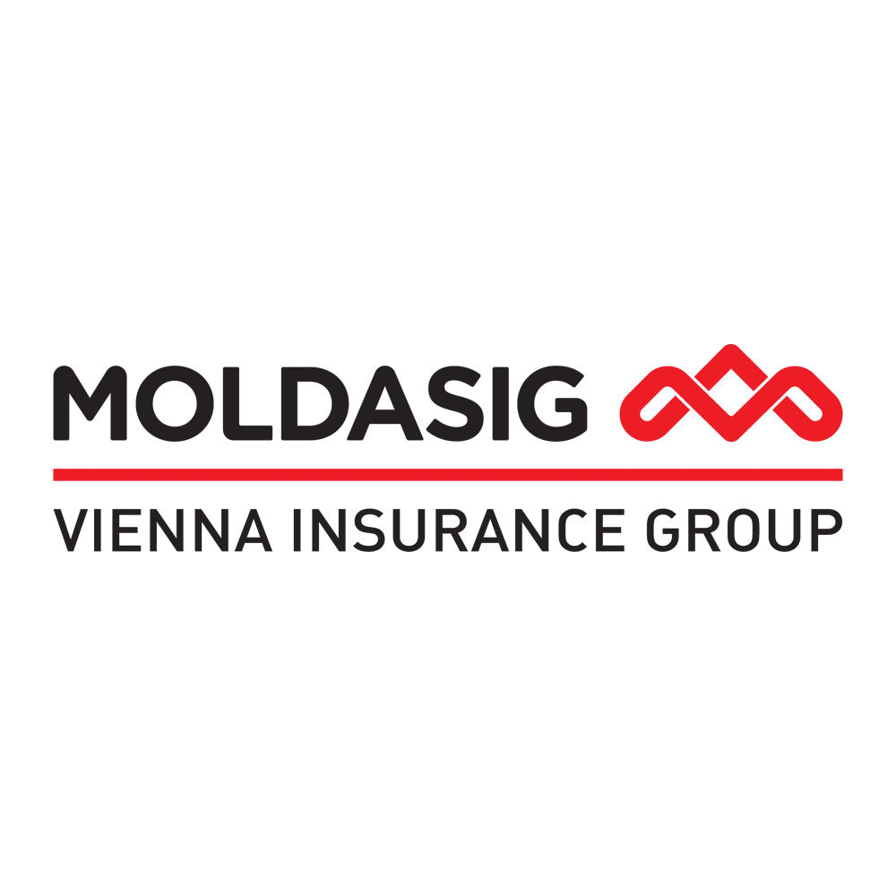 Новый логотип Moldasig, разработан New Light Digital