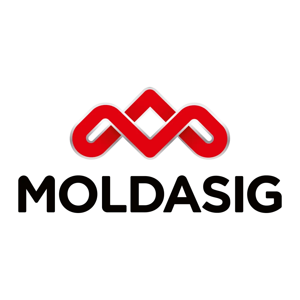 Исходный логотип Moldasig, до нашего ребрендинга